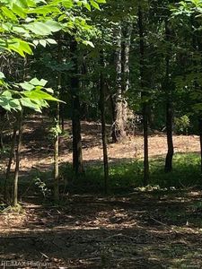 1 Sleaford-parcel 1-8.68 Acres, Howell, MI, 48843