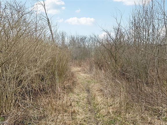 3rd image of Center Rd