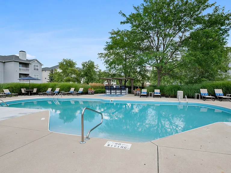 Refreshing Swimming Pool