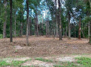 Beaver Creek Dr, Havana, FL 32333