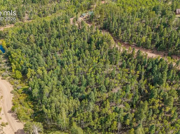 1034 Little Topsey Dr, Cripple Creek, CO 80813