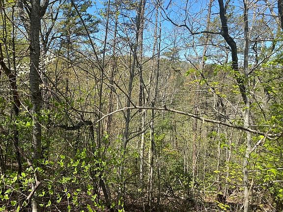 4th image of 13 Mountain Dreams Way Lot 13