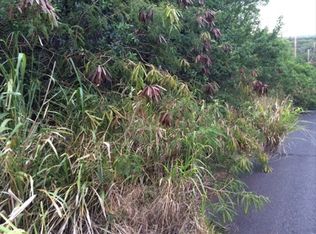 Puka St, Naalehu, HI 96772