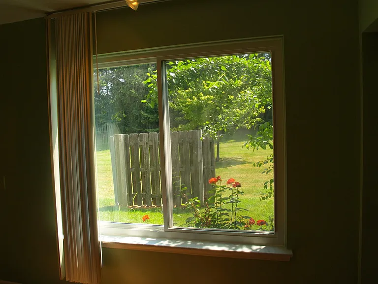 Kitchen window
