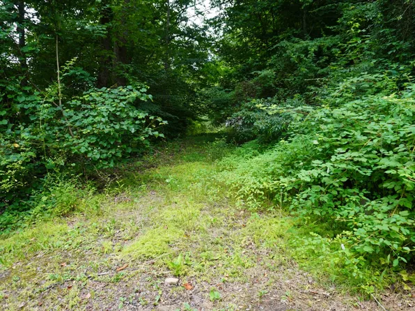 66 Promise Land Rd, Brenton, WV 24818