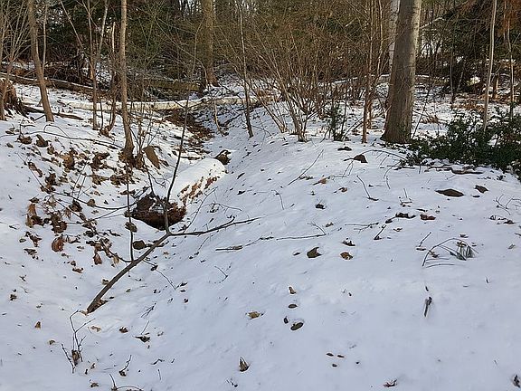 5th image of 28 Oakwood Dr