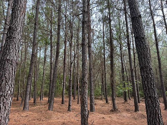 5th image of Tract B Earle Rd.