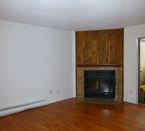 Living Room wood burning FP