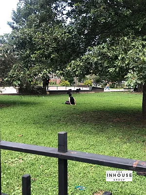 Rented by The InHouse Group | media 24