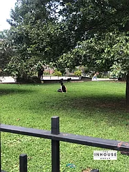 Rented by The InHouse Group