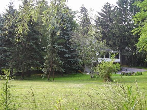 many mature trees- 100's of birds