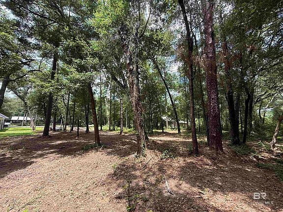 2nd image of 0 Jackson Ln
