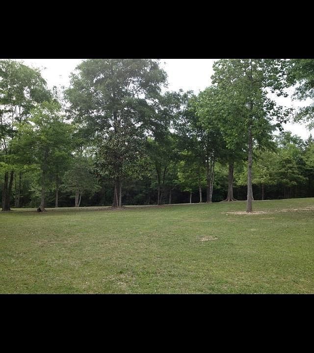 2nd image of 18445 Vic Wertz Rd