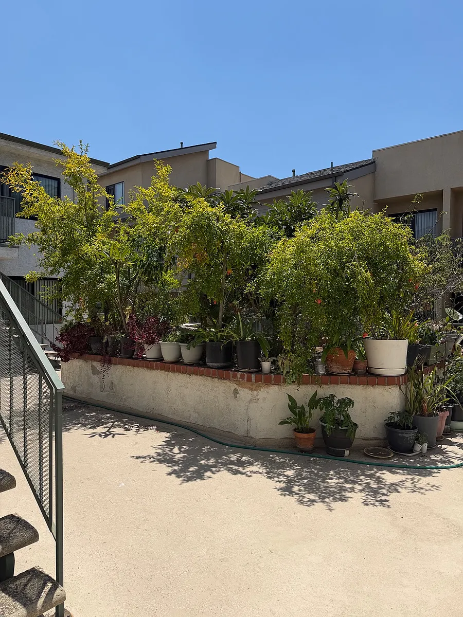 Building Photo - 1122 Linden Ave #3