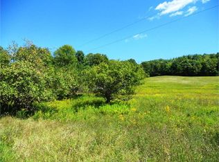 132 Kostenko Sutton Rd, Mc Donough, NY 13801