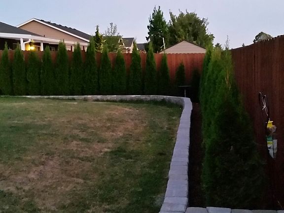 Back yard flower bed