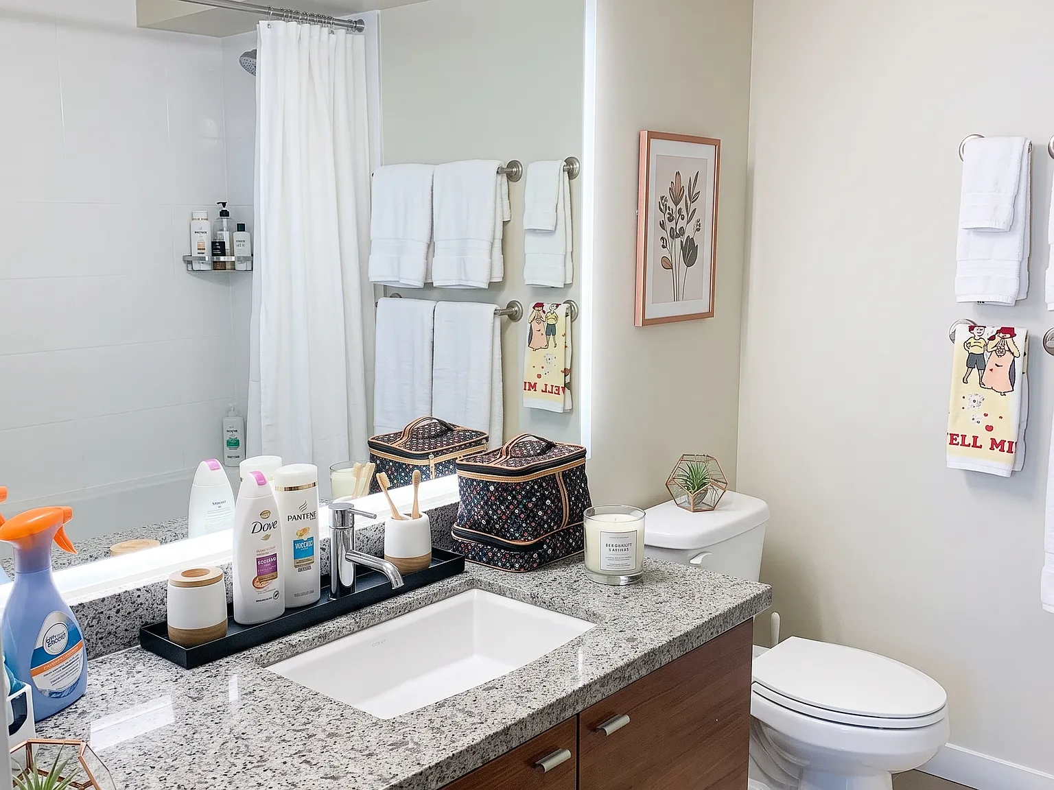 1 bed, $1,150 — Photo 4