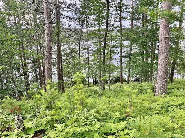 Tbd Raps Rd, Cook, MN 55723