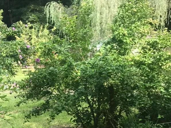 2175 Gaines Rd #1, Altoona, AL 35952