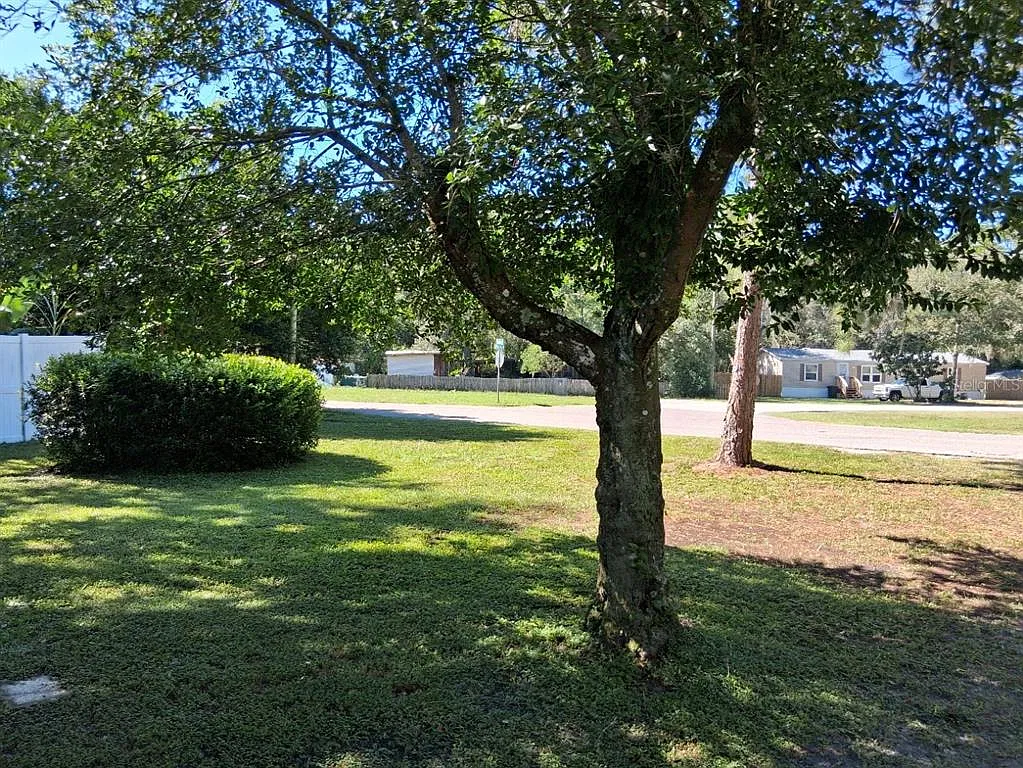 2 bed, 1.0 bath, 600 sqft, $1,100 — Photo 2