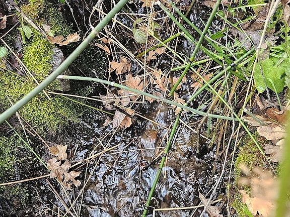 4th image of Wahkiacus Heights Rd Lot 1