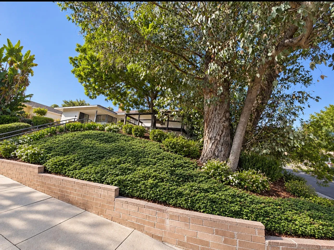 3 bed, 1407 sqft, $4,000 — Photo 3
