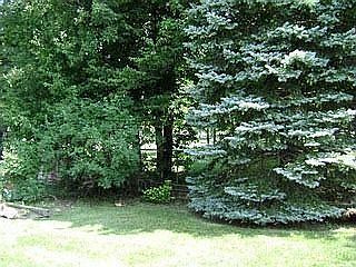 5th image of 23148 Heatherwoode Dr