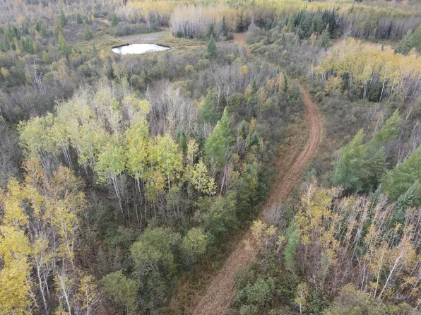 Deer River Line Rd, Littlefork, MN 56653