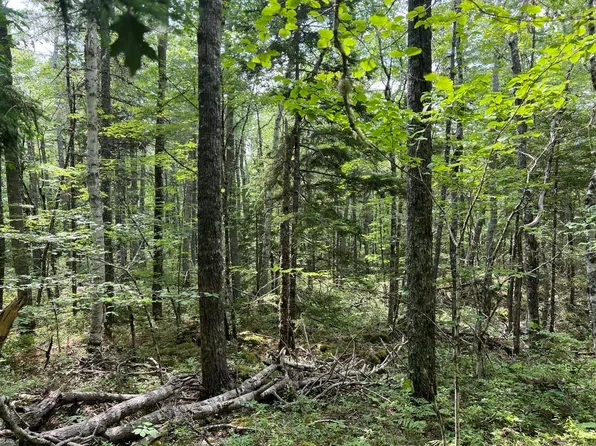 Pine Island Dr Lot 17, Queens, NS B0T 1E0