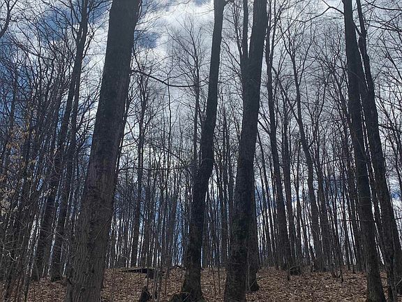 2nd image of Off Elder Rd