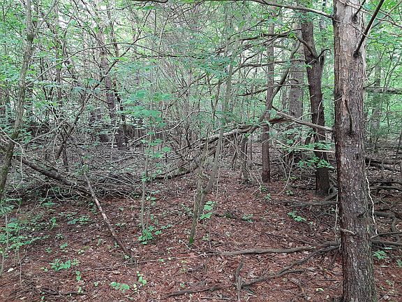 5th image of 101 Oostagala Dr Lot 35