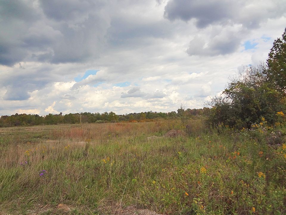 2nd image of 0 Washington Rd