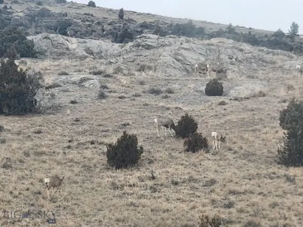 2 Bradley Creek Rd, Norris, MT 59745