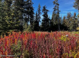 Nka Long Ave, Homer, AK 99603
