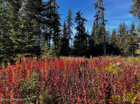 Nka Long Ave, Homer, AK 99603