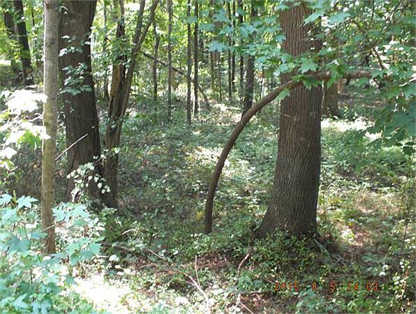 2nd image of 11400 Claybank Pl