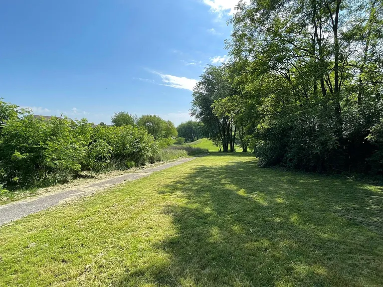 Walking trails on former golf course behind the house