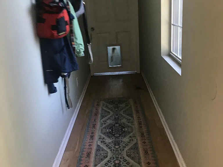 Doggy door access to sunroom and back yard