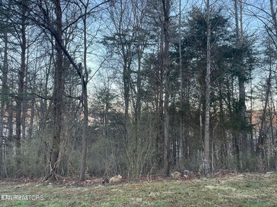 LOT 14 Hiwassee Dr, Jacksboro, TN, 37757