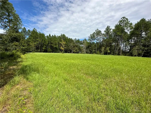 LOT 8 Dereck Ln, Patterson, GA 31557