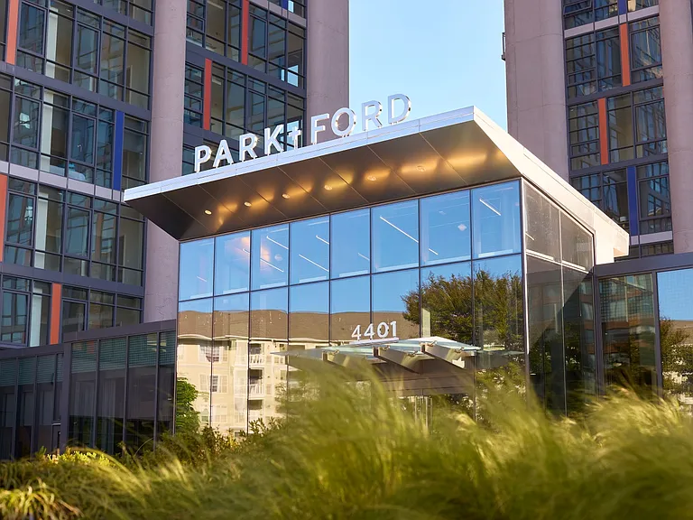 Park + Ford — Photo 71