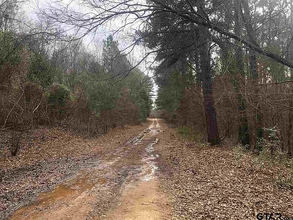 2nd image of LOT 49 Brushy Cir