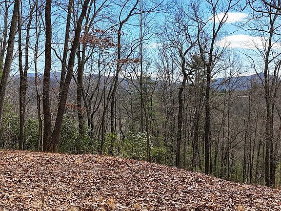 2nd image of 299 Laurel Falls Rd