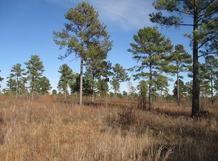 Live Oak Rd, DALZELL, SC 29040