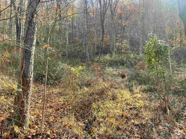 4 Jesses Run Rd, Fairview, WV 26570