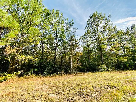 5th image of 18973 Palmer Creek Dr