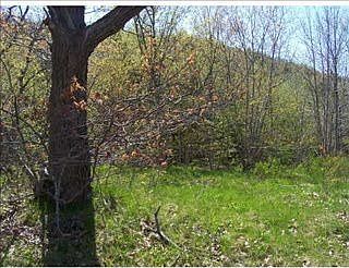 2nd image of 130 Bog Rd Lot B