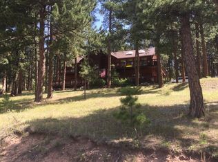 9948 Fallen Rock Rd, Conifer, CO 80433