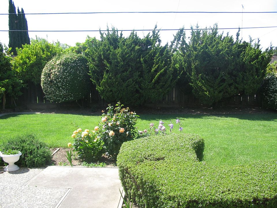 2nd image of 450 Kiely Blvd