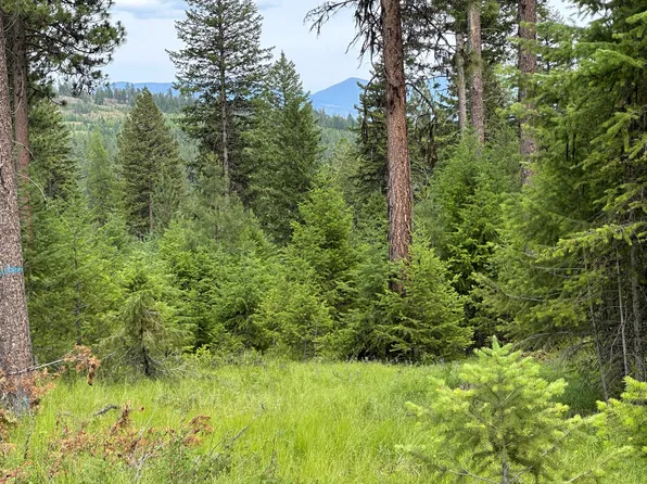 36XX Sheridan Rd Lot C, Republic, WA 99166